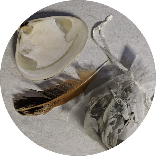 Sacred White Sage Smudge Kit