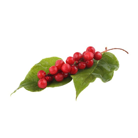 Shisandra Berry Extract