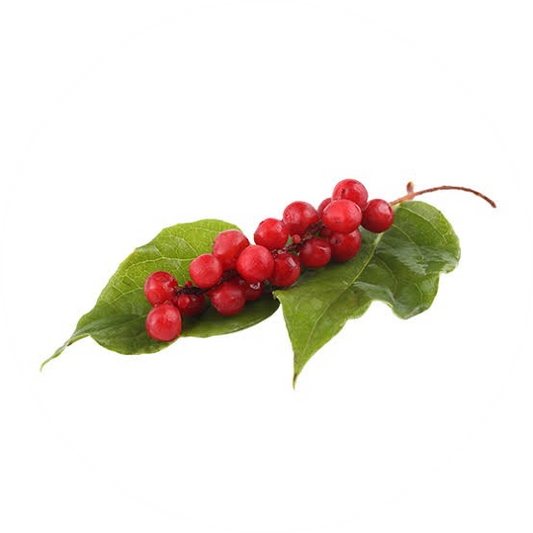 Shisandra Berry Extract